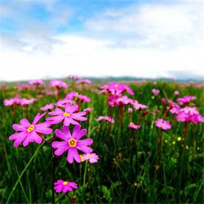 新188app官网下载